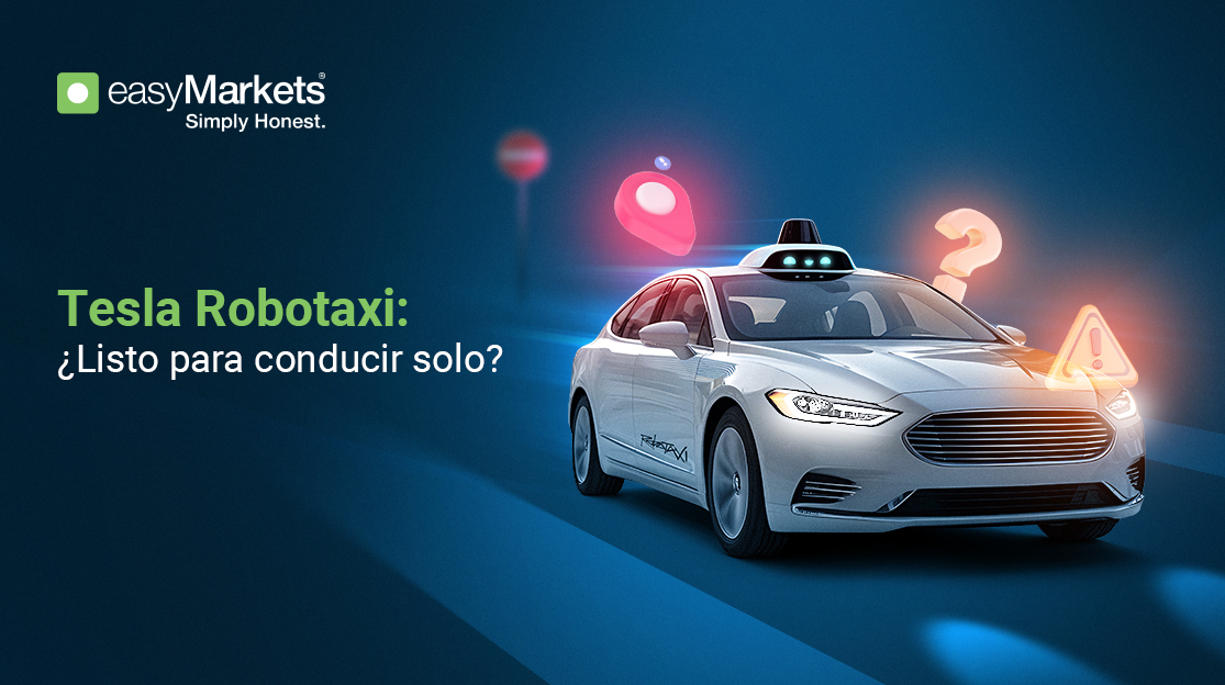 Tesla´s Robotaxi Gamble